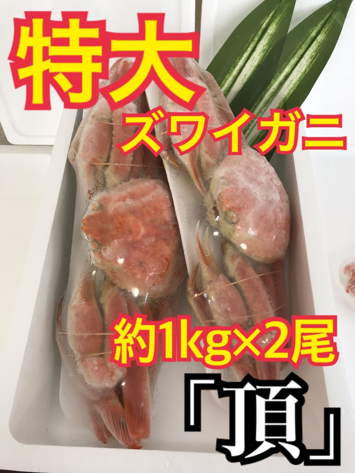 【そのまま！焼き！鍋にも！】特大ズワイガニ 約1kg×2尾 ボイル 冷凍