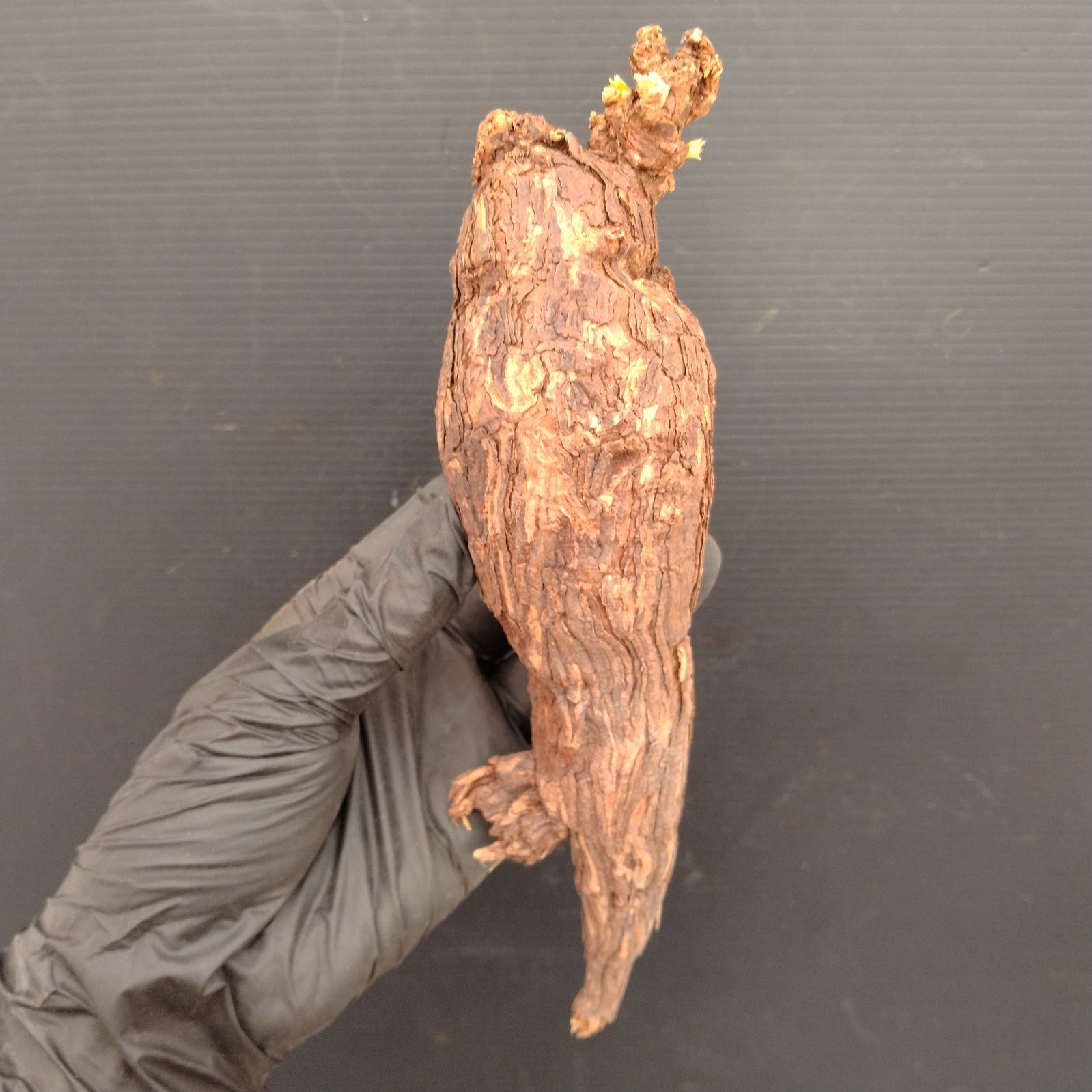 リメイク缶 3個 ⑦ Military☆浅型リメイク缶✨️3個セット