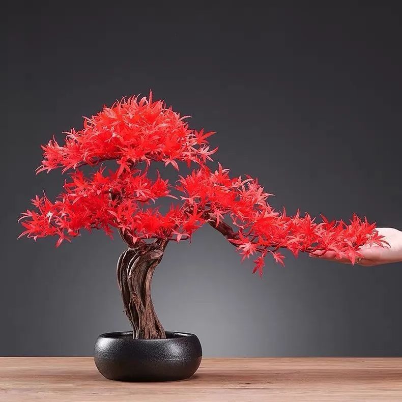 観葉植物 オフィス 横幅58cm【紅葉 アート フェイク盆栽】 モミジ もみじ 人工盆栽 フェイクグリーン 造花 和風 枯れない 盆栽 紅葉の木  インテリア 茶の間 和風 人工植物 置物 モダン 赤い葉 カエデ - メルカリ