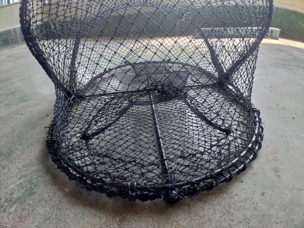 タイプカゴ黒網10枚 120