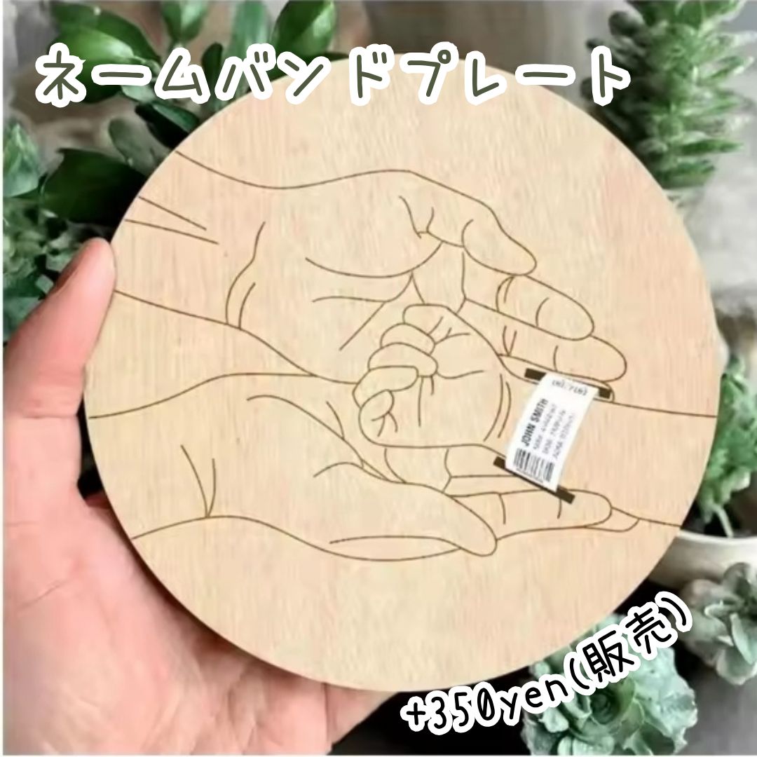 アーチスワッグ モニター価格