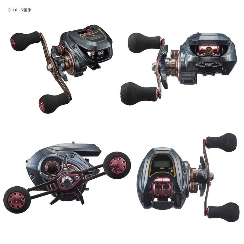 Daiwa 紅牙