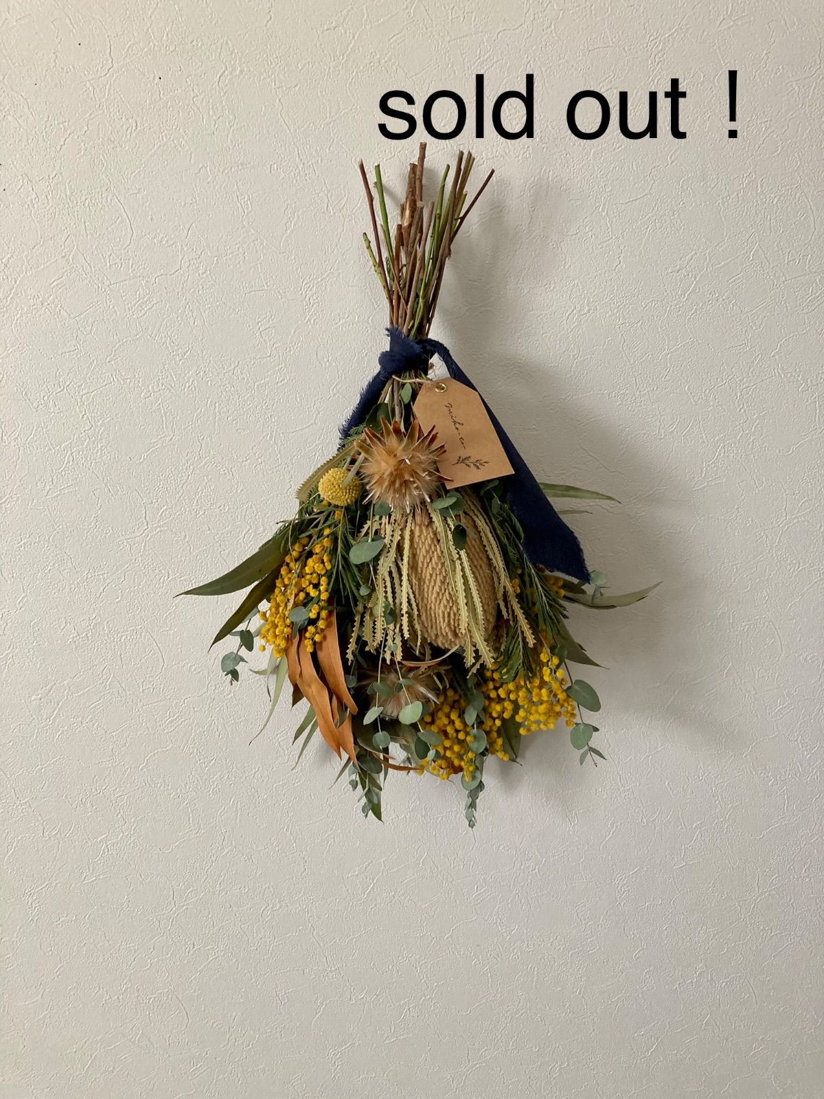 完売 天然野生の可愛い【柊さんと樅の木さんセット】柊＊樅の木