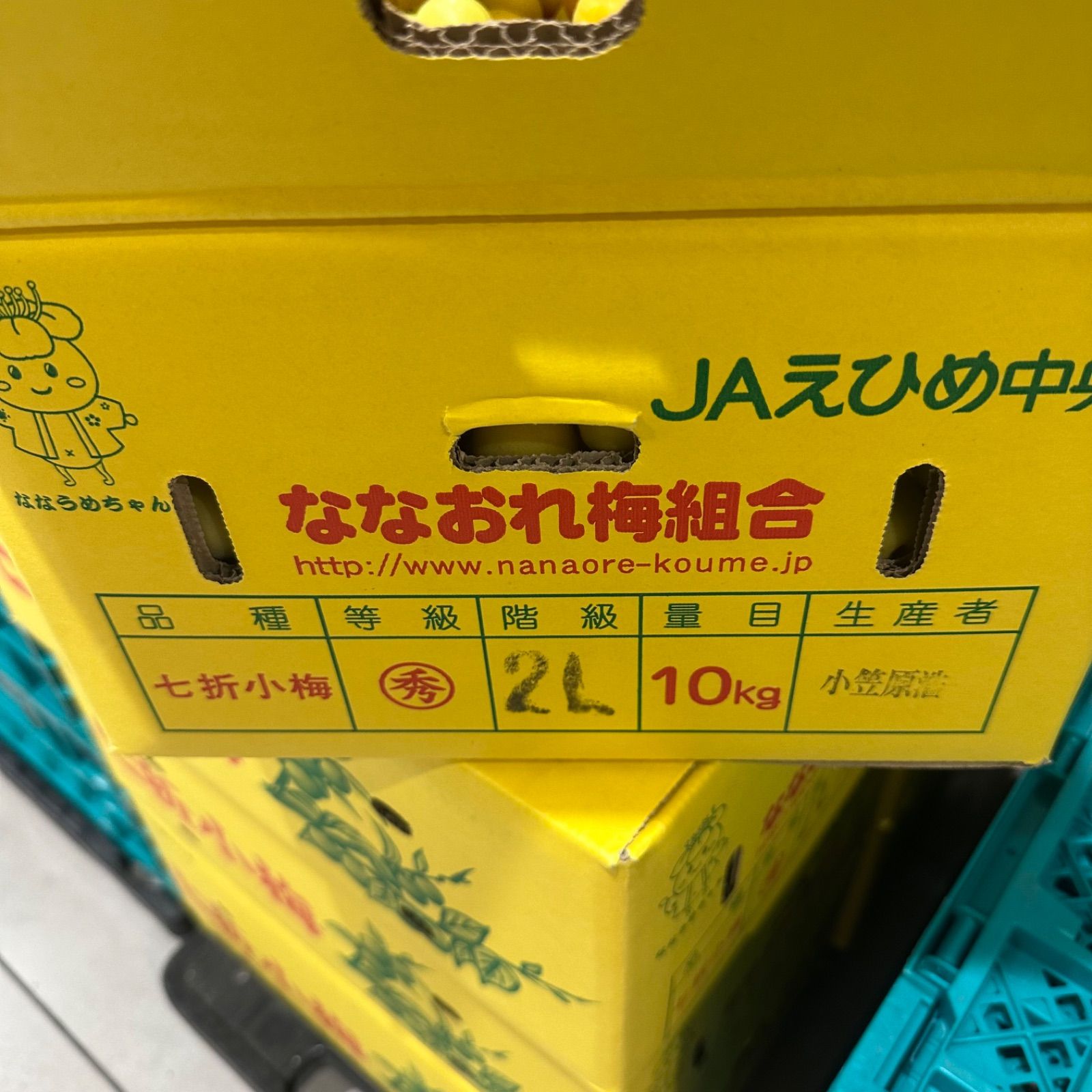2Lクール発送