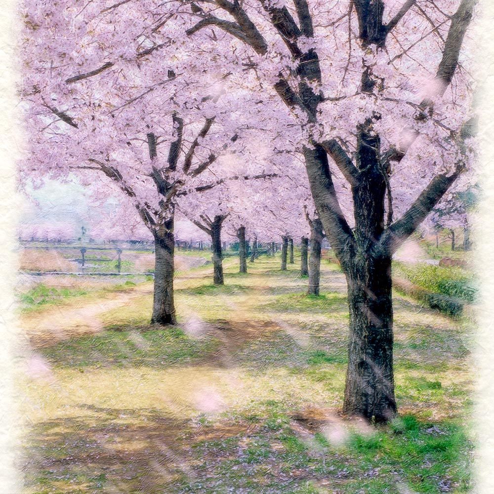 和紙の絵写真 「川沿いの桜並木と落ちた花びら」 立体額縁付き 31x23cm