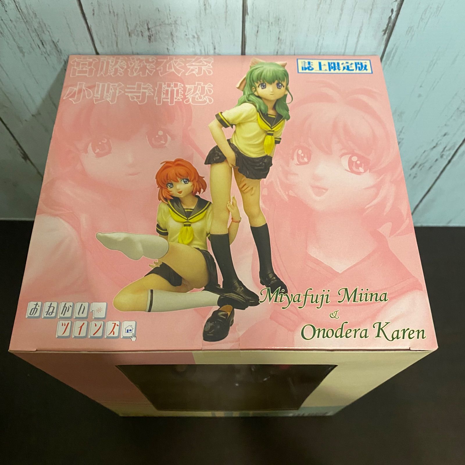 ネット深衣奈＆樺恋　スクール水着［おねがいツインズ］1/8　ソニックブーム　ワンフェスWF限定ガレージキット その他