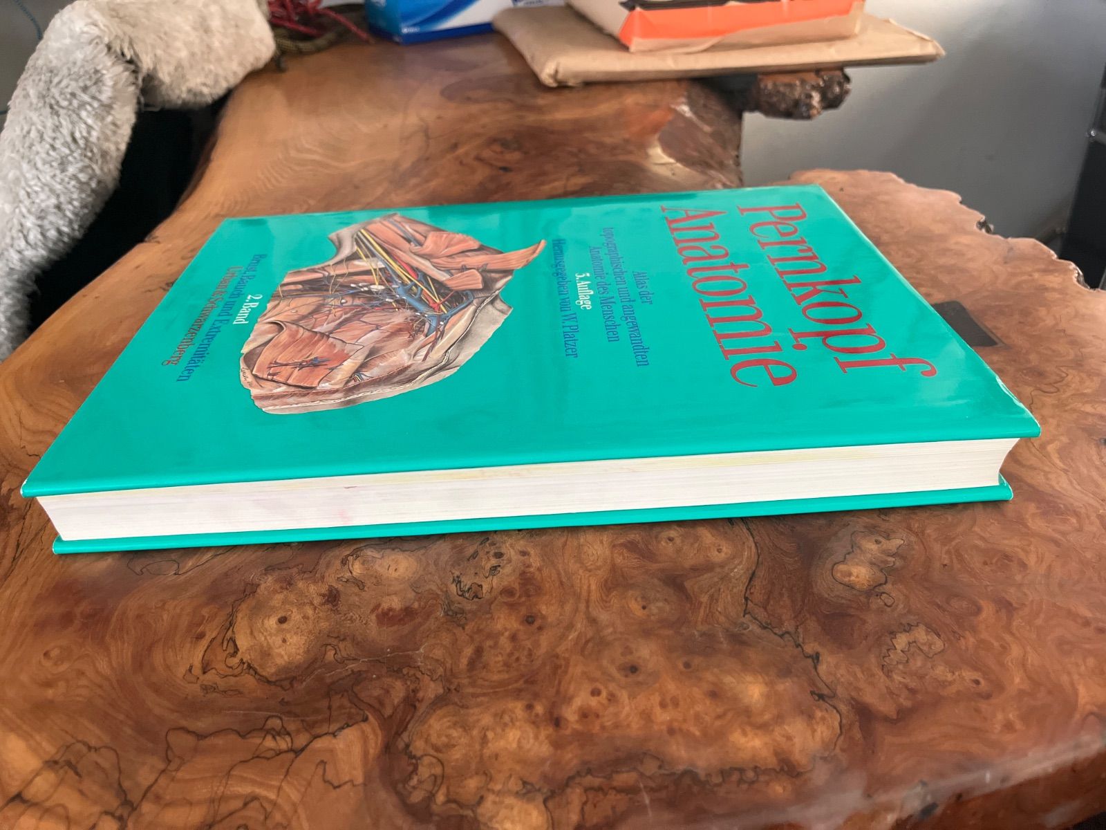 手 その機能と解剖 第6版 71CdJfhFZfL.jpg_BO30,255,255, 美品 ☆裁断なし