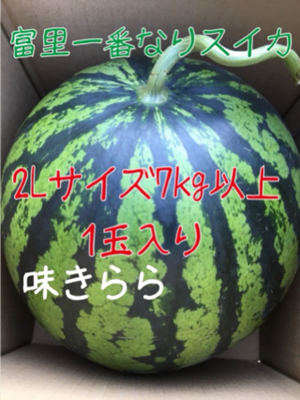 富里1番なりスイカ味きららLサイズ2玉入り 予約販売5月20日頃から発送富里1番なり西瓜品種味きららLサイズ1
