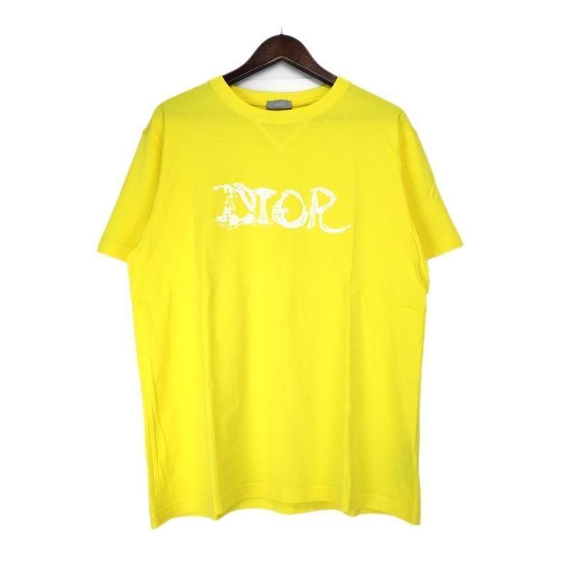 ディオール Dior × ピータードイグ Peter Doig 22AW 143J685C0677 ロゴ Tシャツ 39987