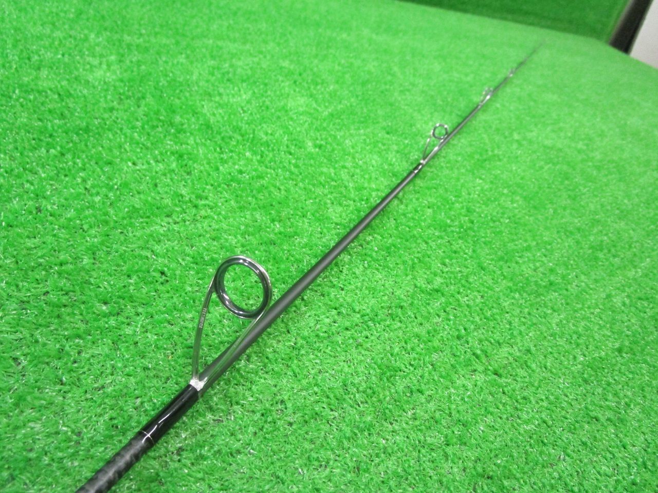 エバーグリーン