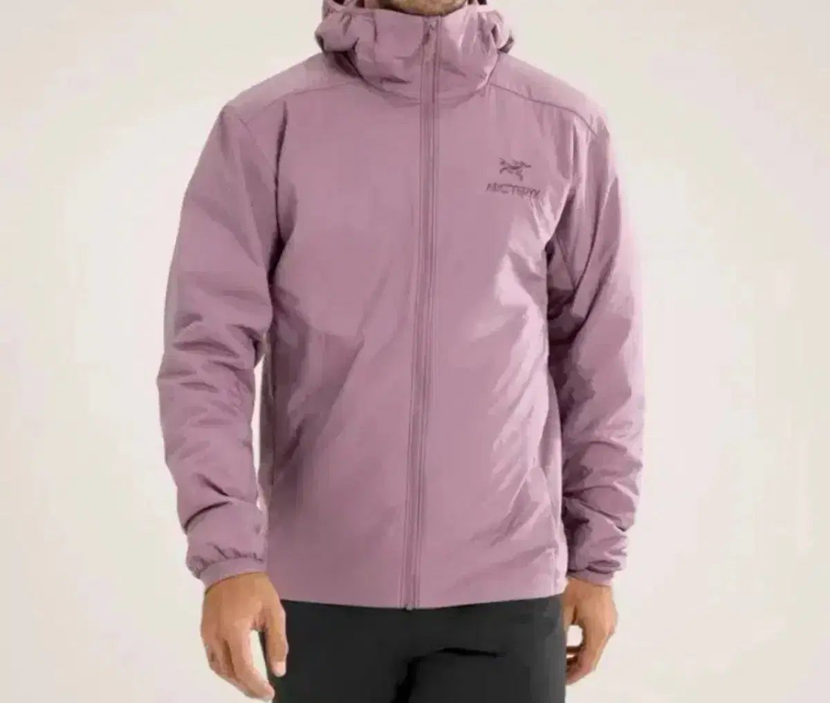 ARC'TERYX(アークテリクス) Atom(アトム) インテステラ M ARC ARC'TERYX(アークテリクス) Atom(アトム) インテステラ M ARC
