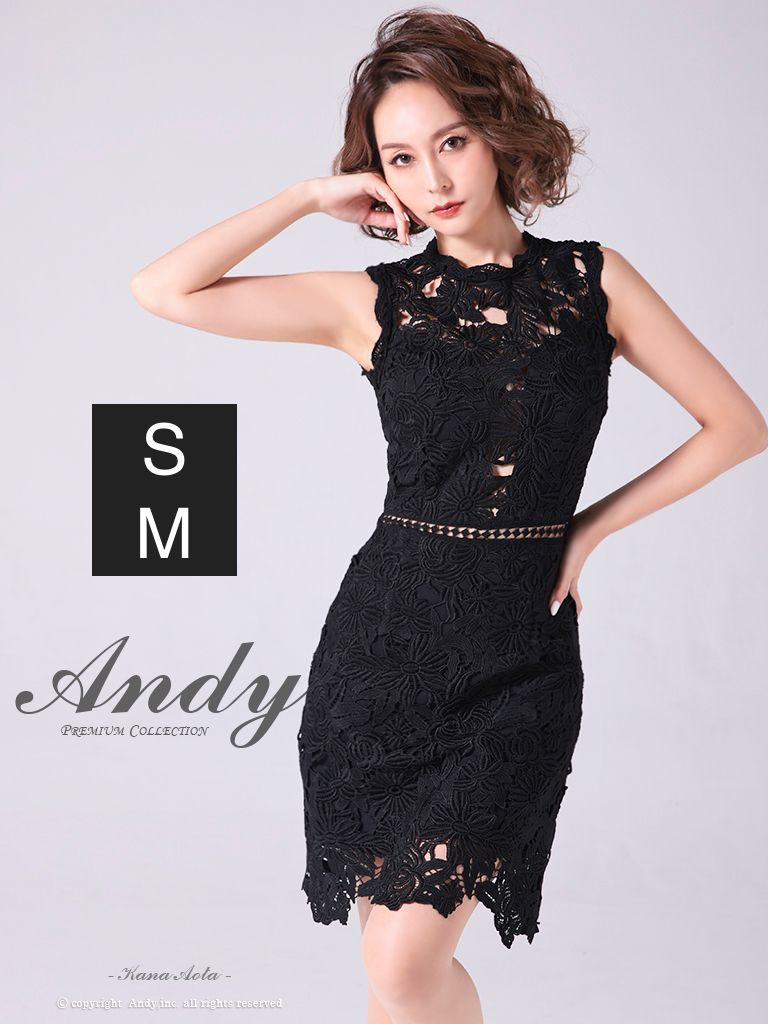新品未使用未開封タグ付き　Andy 総レースブラックドレスM Andy新作入荷【2025 S/S COLLECTION】