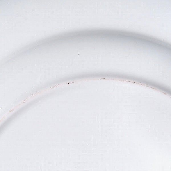 トラップネルスプレイズ プレート