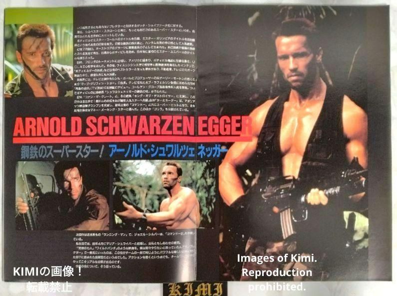 プレデター 映画 パンフレット 1987 昭和62年 フライヤー チラシ