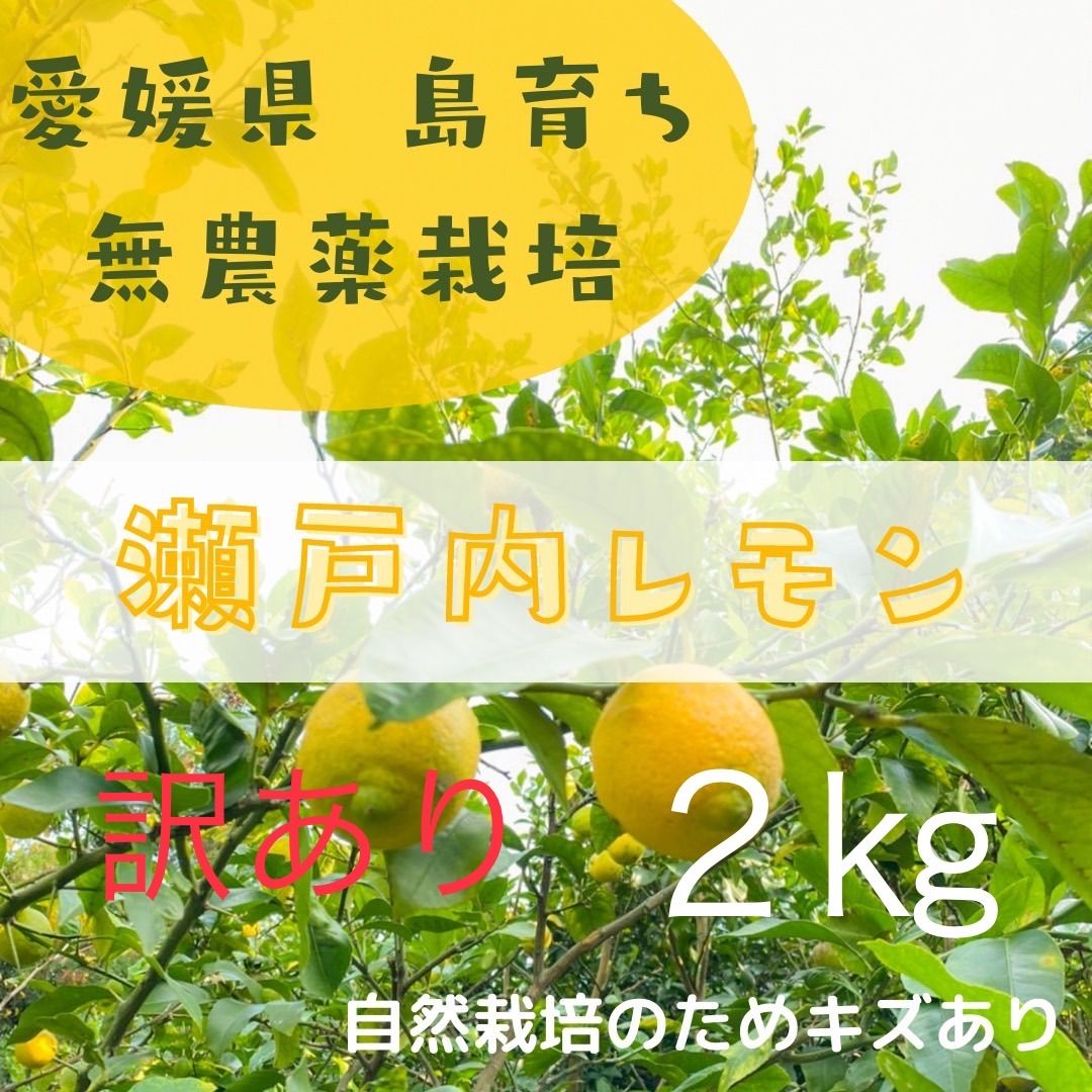 瀬戸内の農薬不使用レモン 2 - 果物