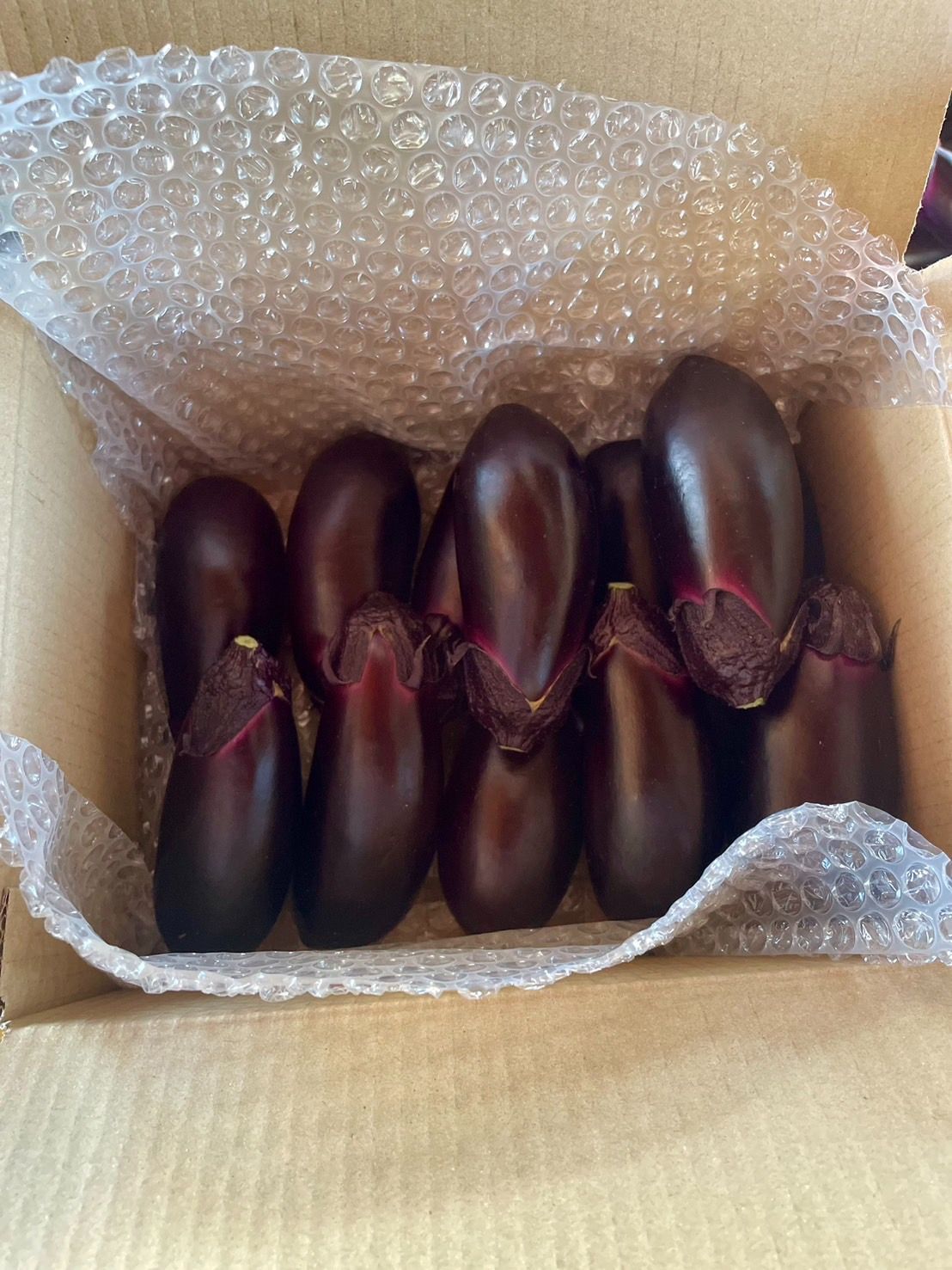 秀品】高知県なす 2kg - メルカリ