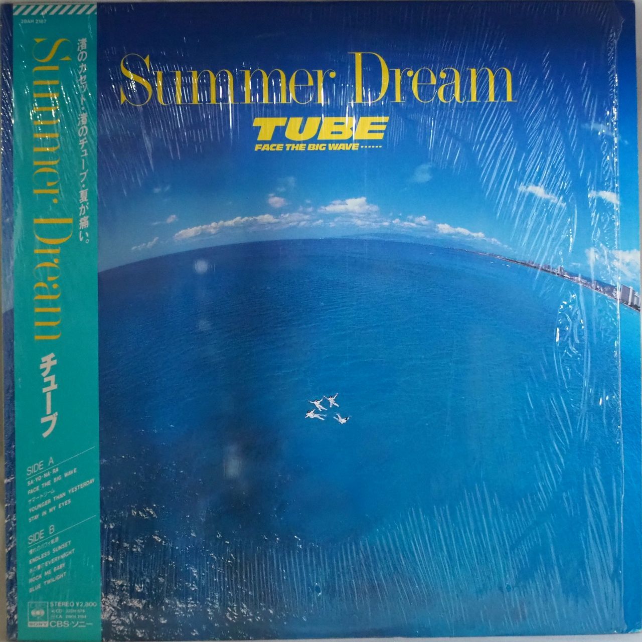 TUBE（チューブ）／SUMMER DREAM