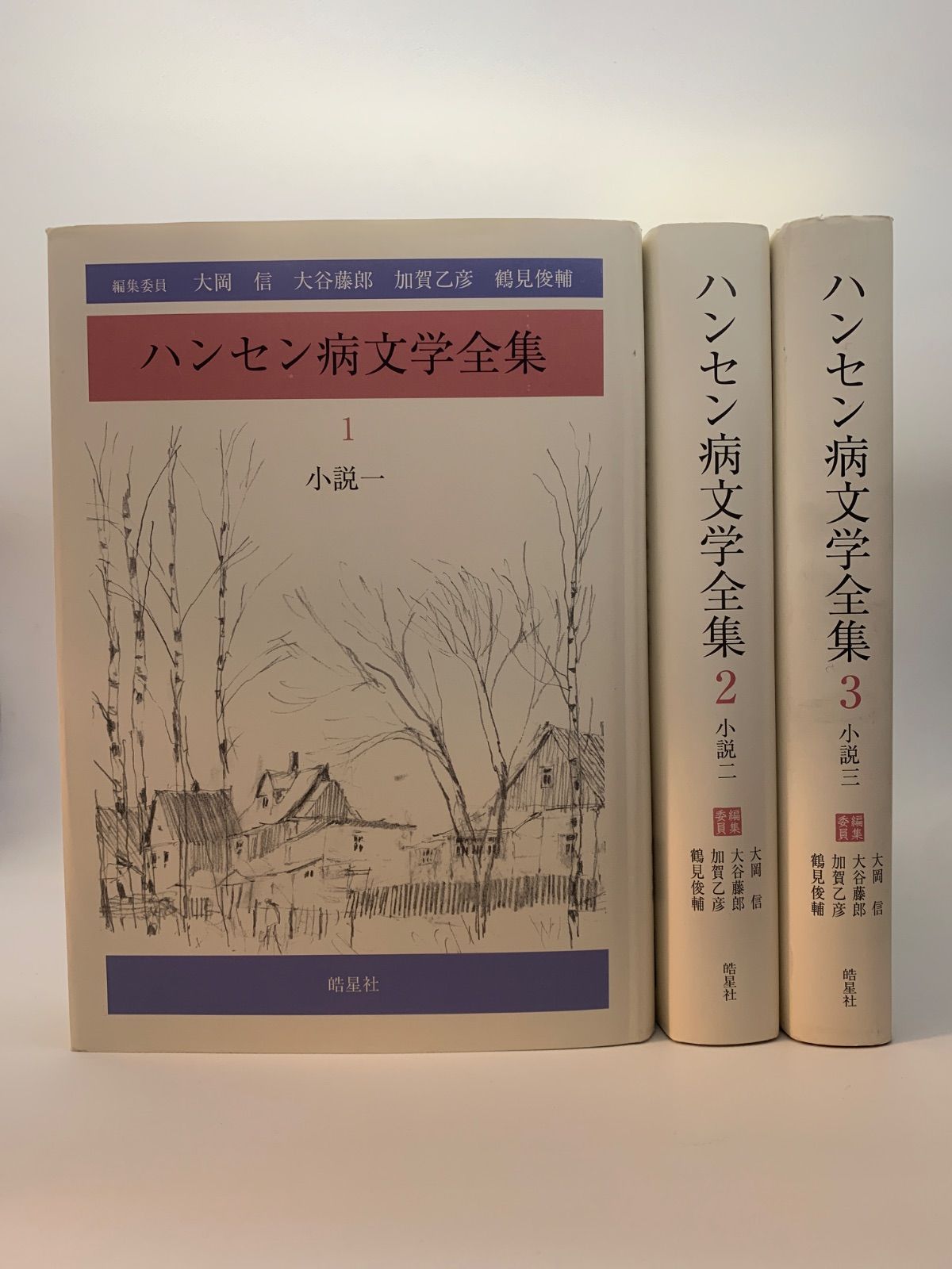 100%新品，低価 ハンセン病文学全集 第１～３巻 小説一～三 3冊セット 月報付 皓星社 文学・小説