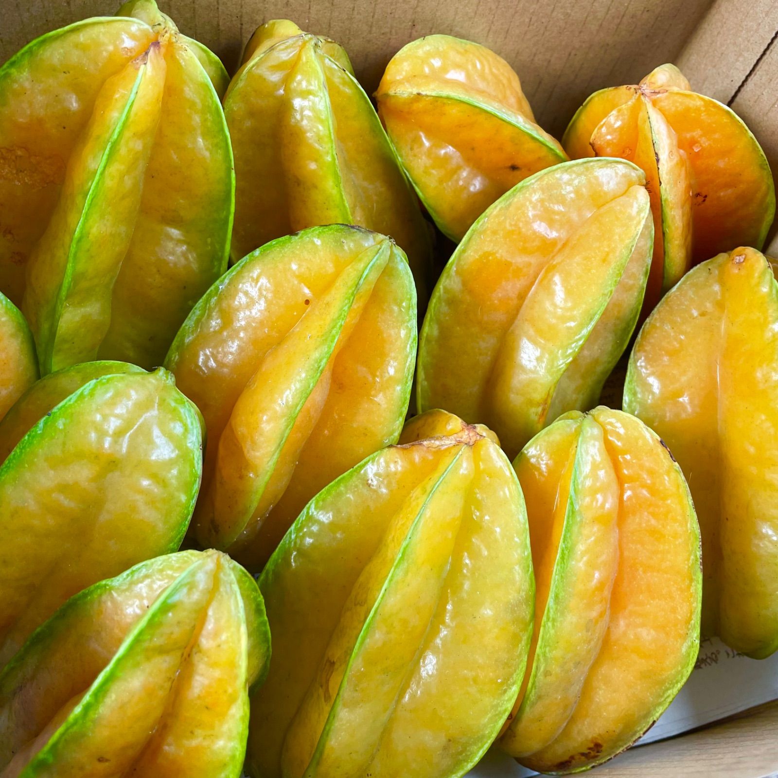 沖縄県産 訳ありスターフルーツ 1.5kg- メルカリ