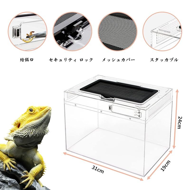 爬虫類・両生類用品 Reptile Growth 爬虫類 ケージ 透明 爬虫類ケージ 