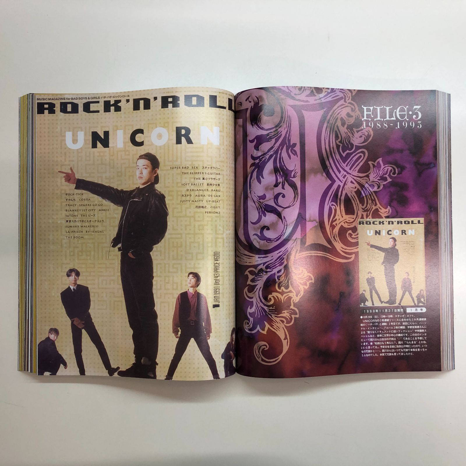 ユニコーンファイル1987-1993 UNICORN FILE 1987 1993 PATI-PATI ユニコーン <<R-6-M6493