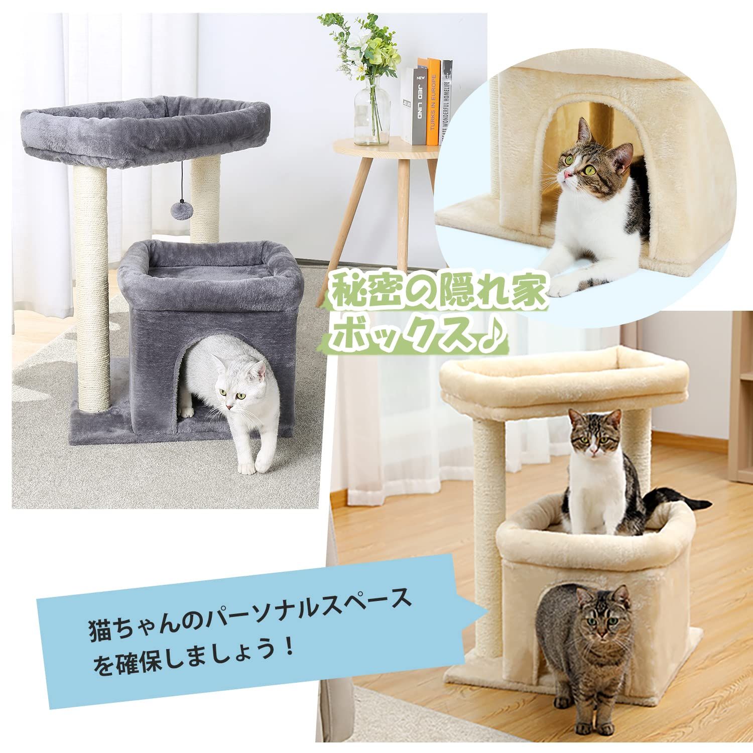 大型猫 ペット