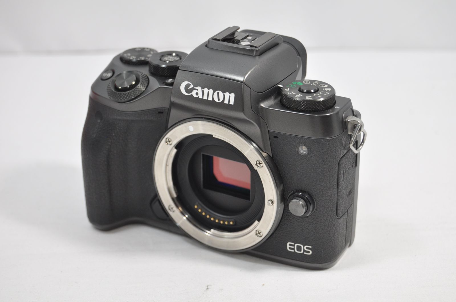 Canon キャノン EOS M5 ボディ □ 美品 □キャノン Canon EOS M5 Canon キャノン EOS M5 ボディ □ 美品 □キャノン Canon EOS M5