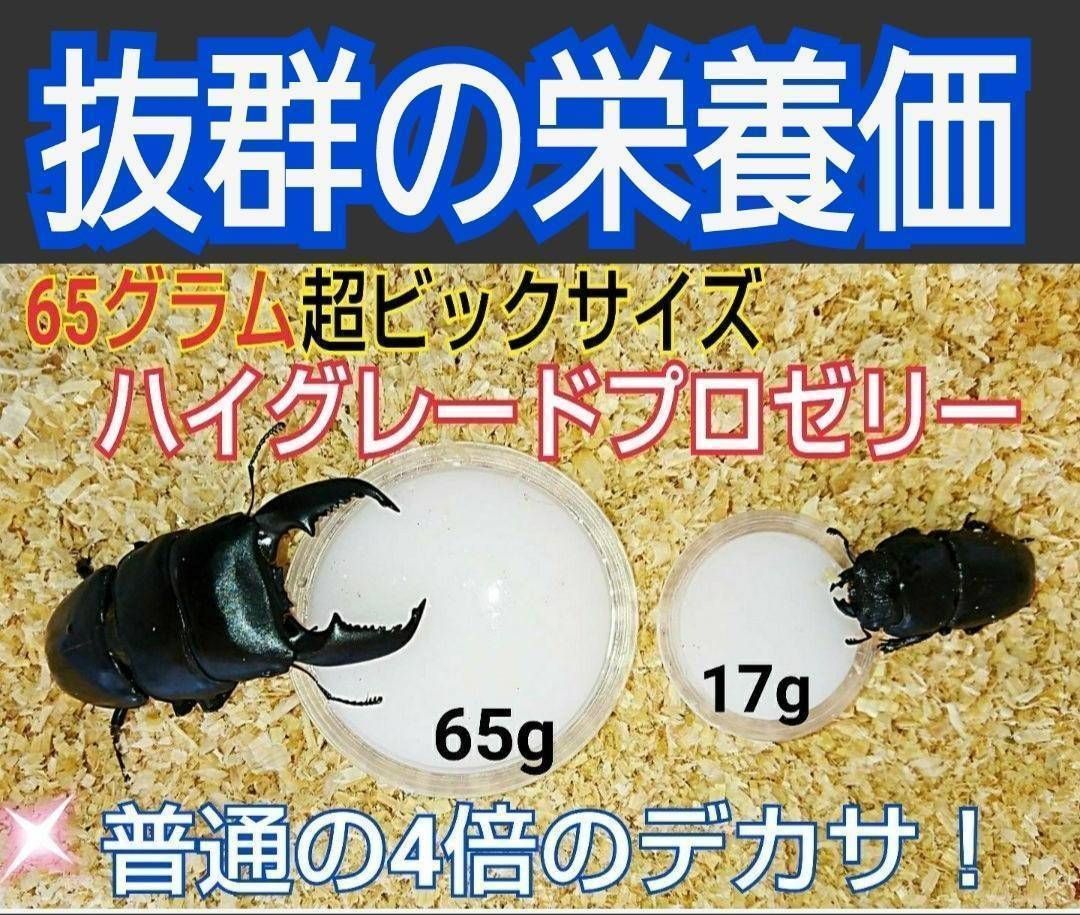 超ビッグサイズ！ハイグレードプロゼリー☆50個 普通の4倍以上のデカサ！プロ仕様 - メルカリ