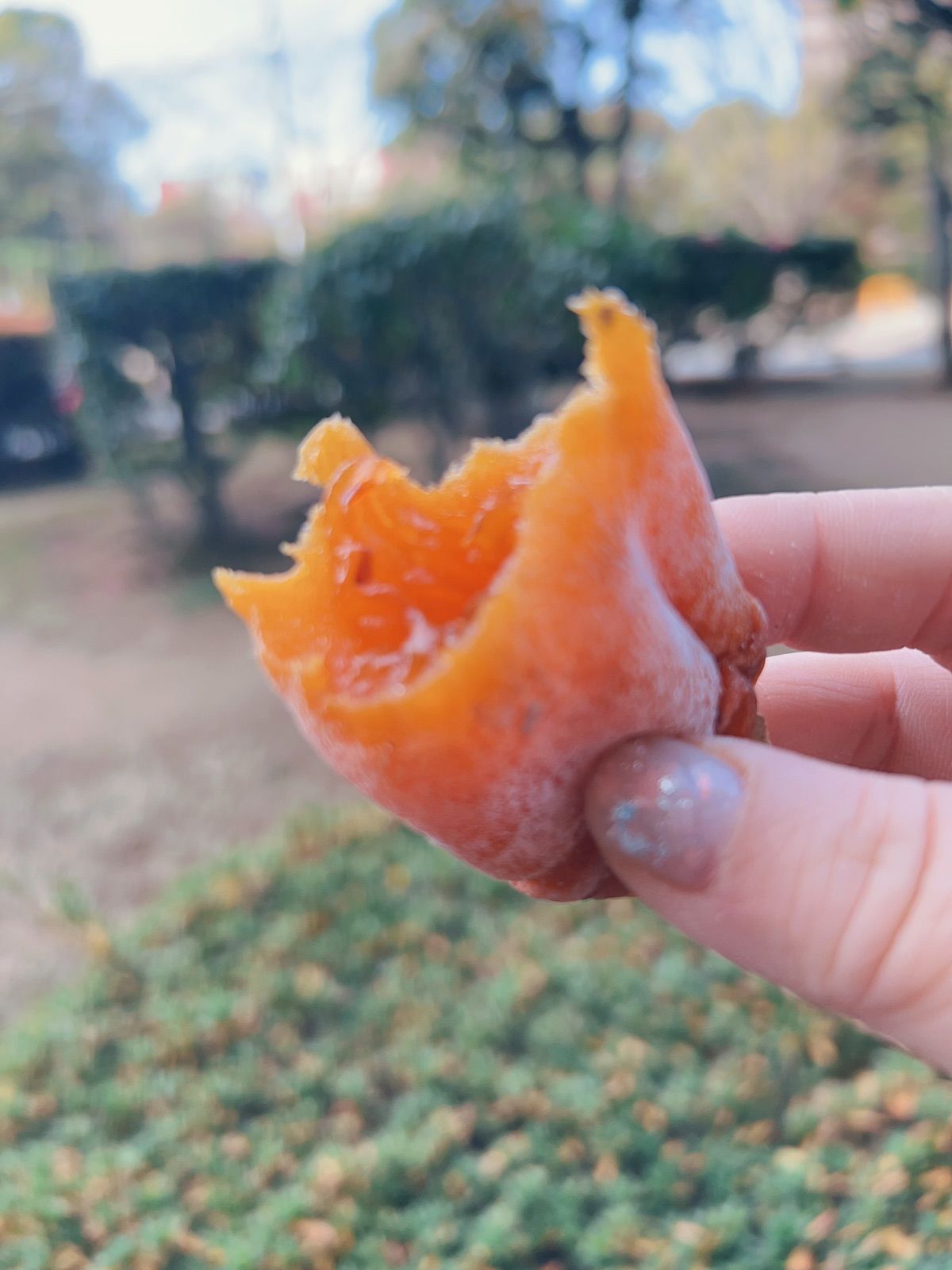 昔ながらの干し柿 干しかき