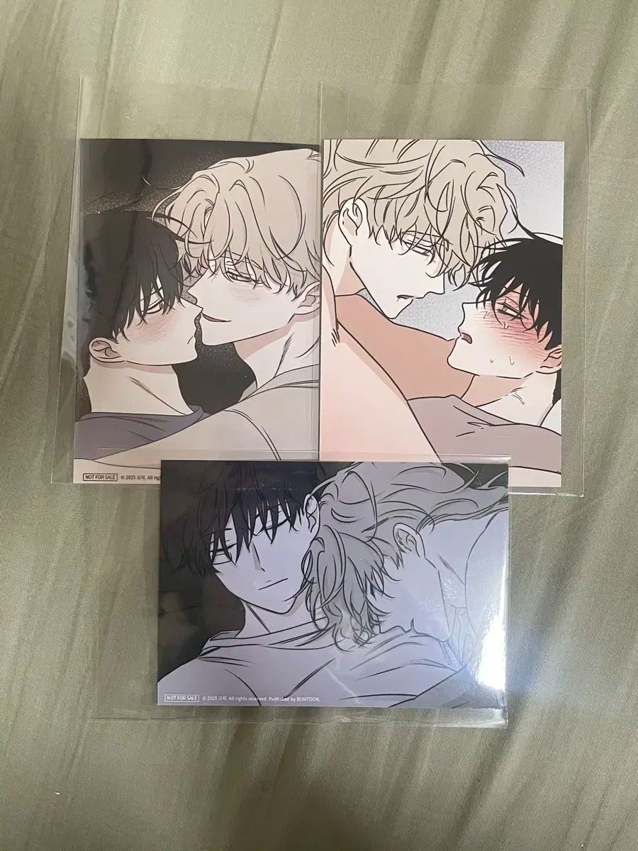 韓国 BL Beltoon J庭 イラストブック 水辺の夜 Backlight Amazon