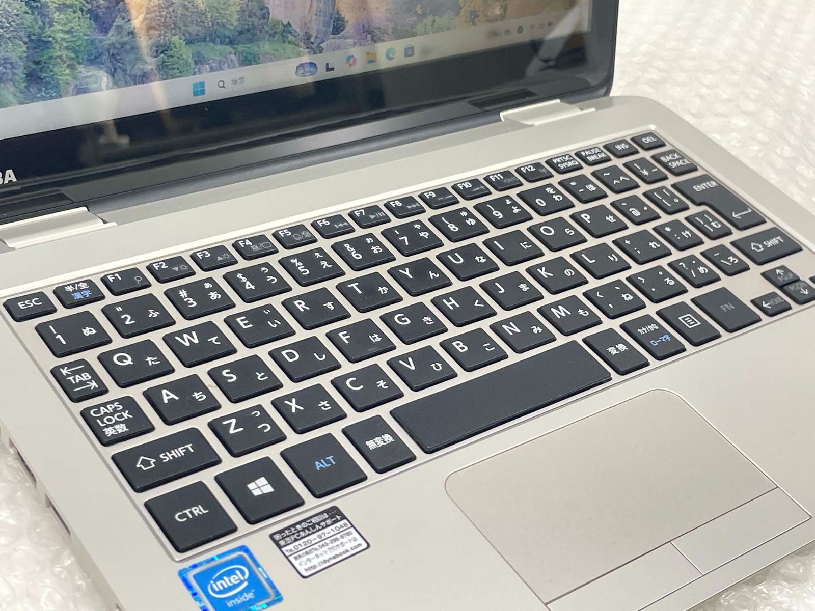 東芝 Dynabook N51/TG Cel-N3050/4GB/1TB HDD/Windows11/11.6型HD