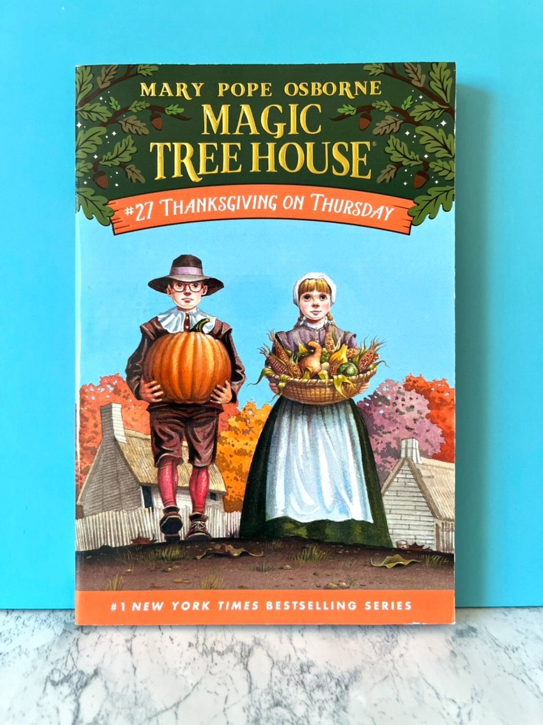 Magic Tree House シリーズ2  27冊
