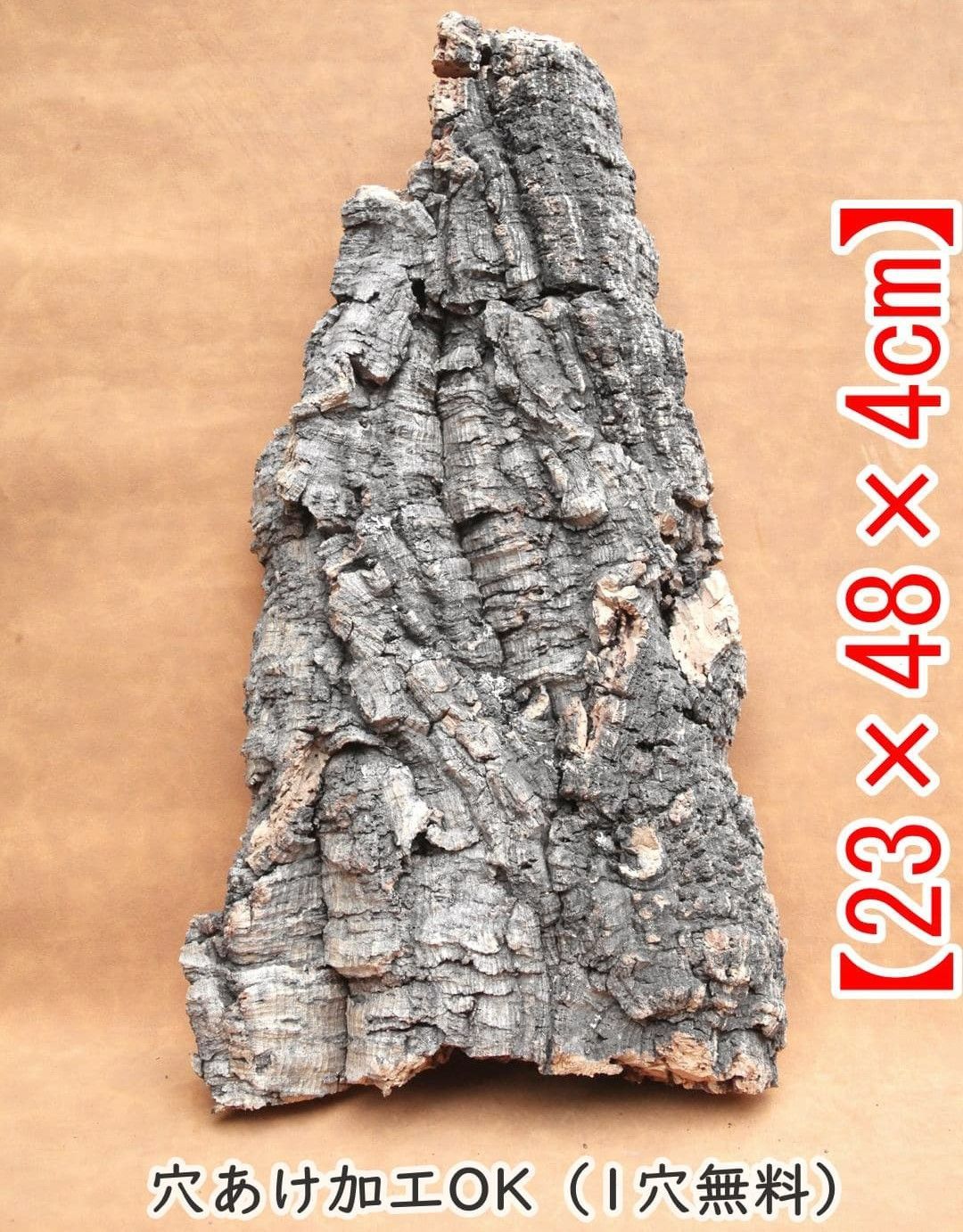 Q676 ポルトガル産 厚め コルク樹皮 コルク板 バージンコルク チランジア ビカクシダ 着生ラン 両生類 爬虫類