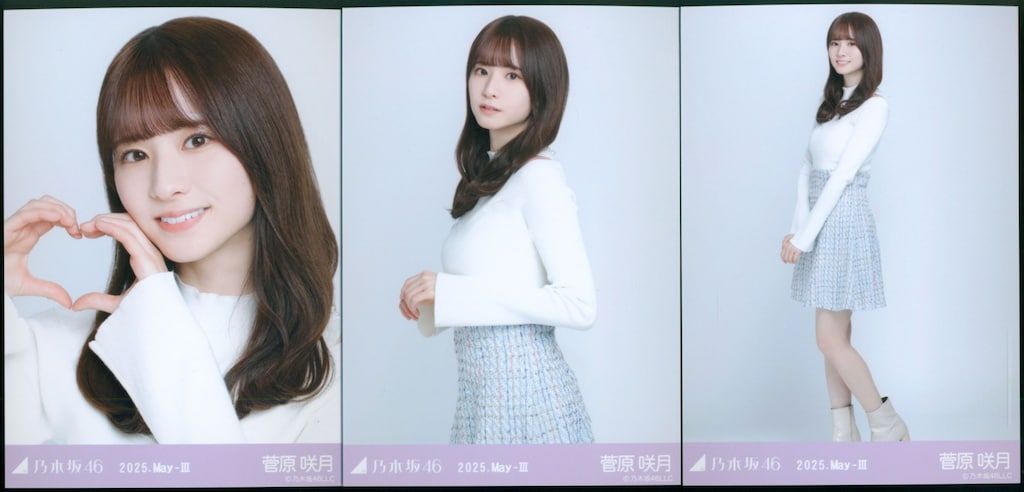 乃木坂46 菅原咲月 2025年月間ランダム 生写真 コンプ 19種 まとめ売り 乃木坂46 菅原咲月 2025年月間ランダム 生写真 コンプ 19種 まとめ売り