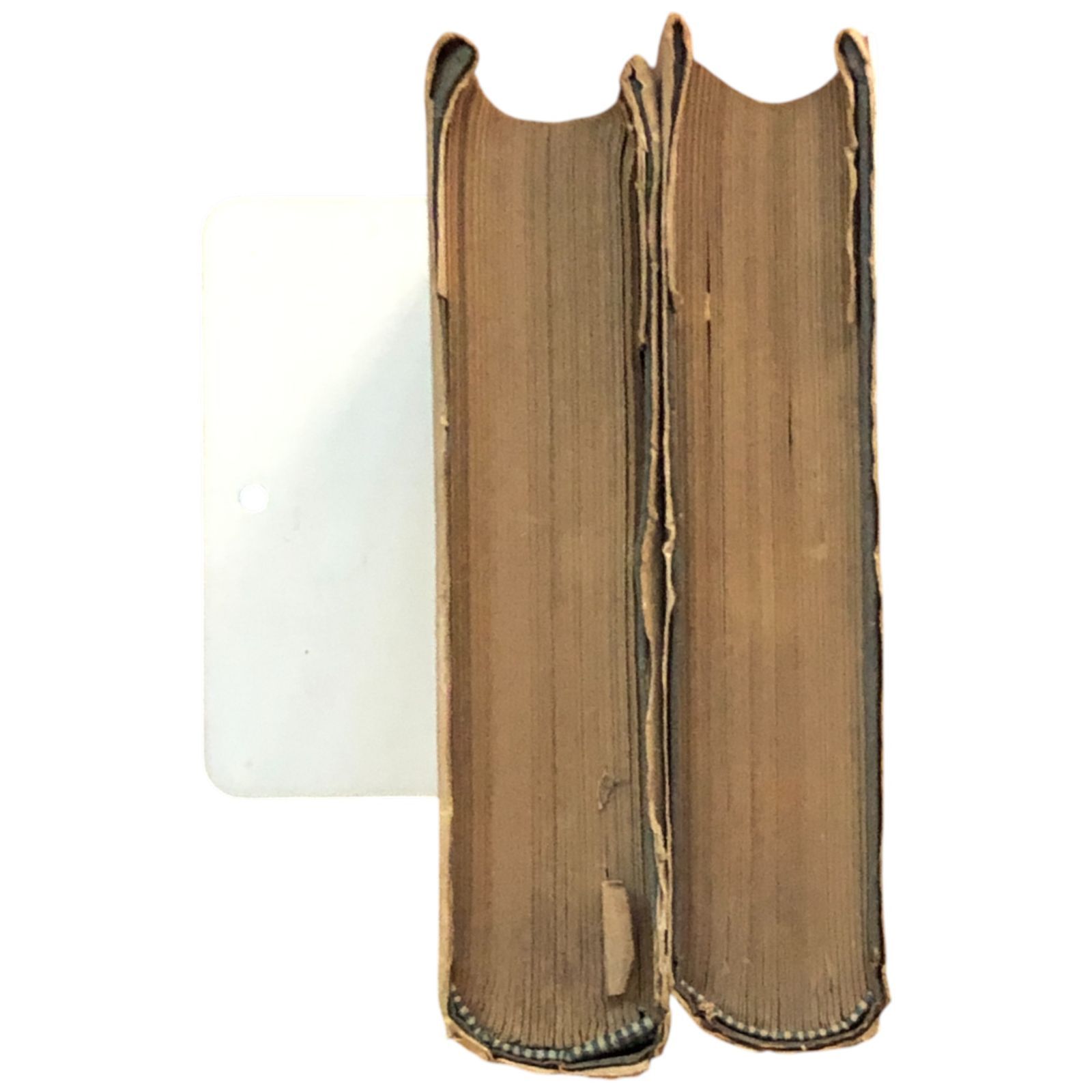 植物記・続植物記 2冊セット 牧野富太郎 1950年 桜井書店 四六判（188