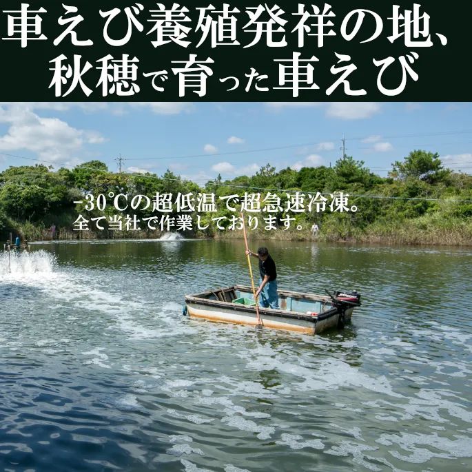ギフトお歳暮 御中元