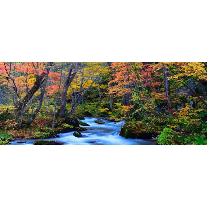 TOPS – Sea Room lynn searoomlynn リネンコンビFRILLニット トップス