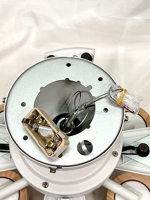 訳有動作品 大光電機 LEDシーリングファン ～10畳 4枚羽 | 6灯 9573