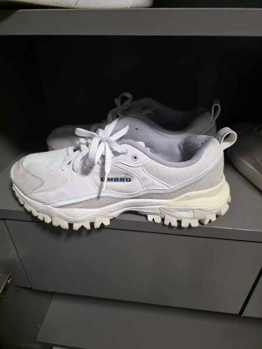 バンピー スニーカー