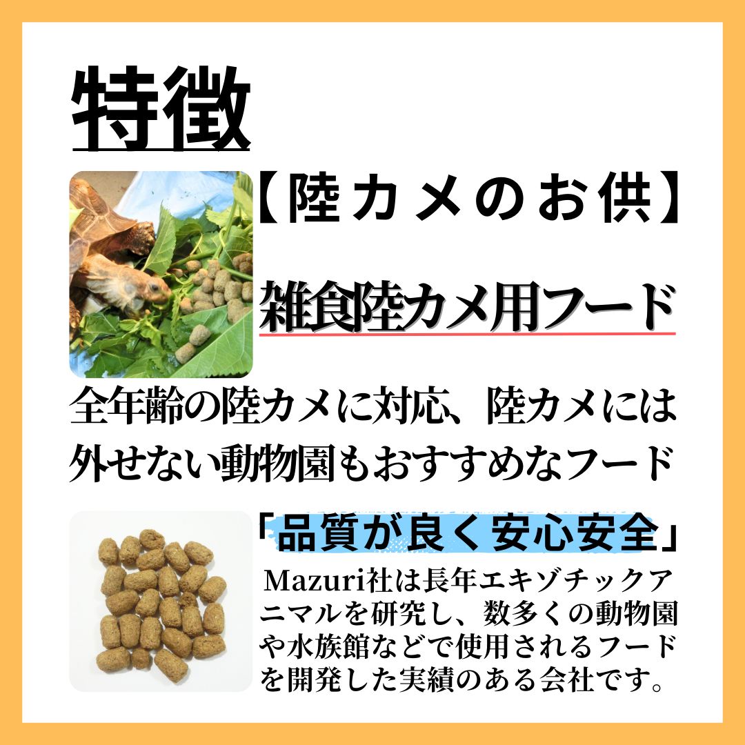 イグアナ