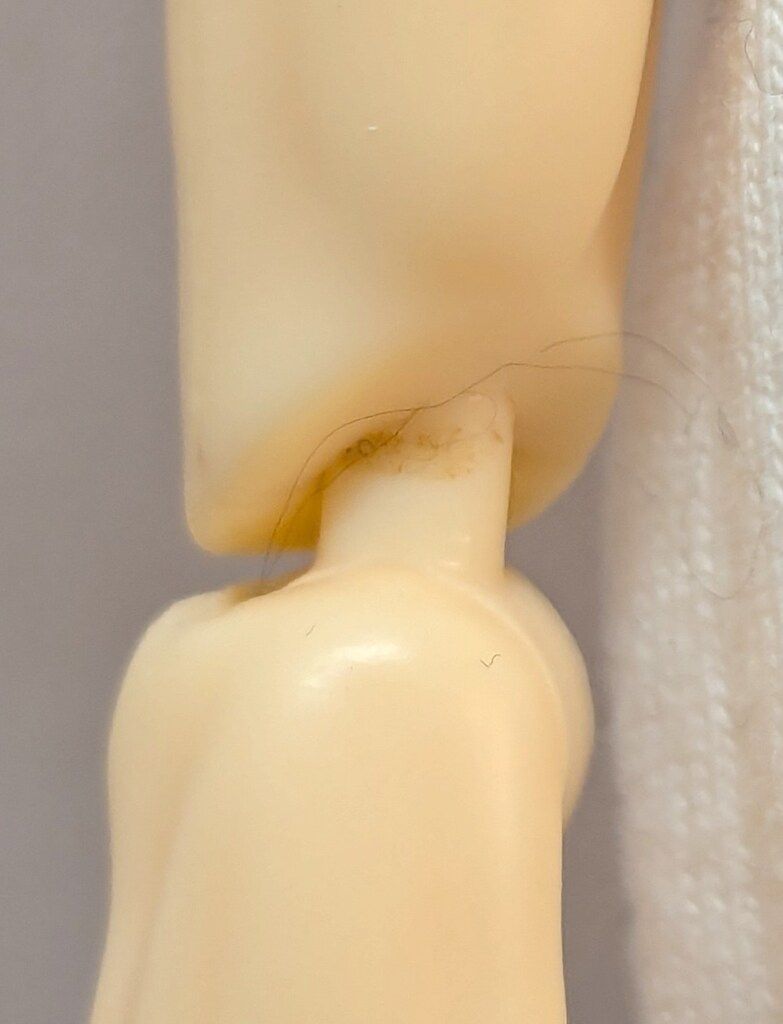 六分の一男子図鑑 ナイン