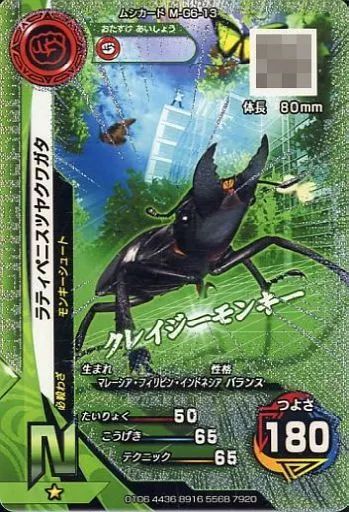 中古】ムシキング M-G6-13[N]：ラティペニスツヤクワガタ(キラ