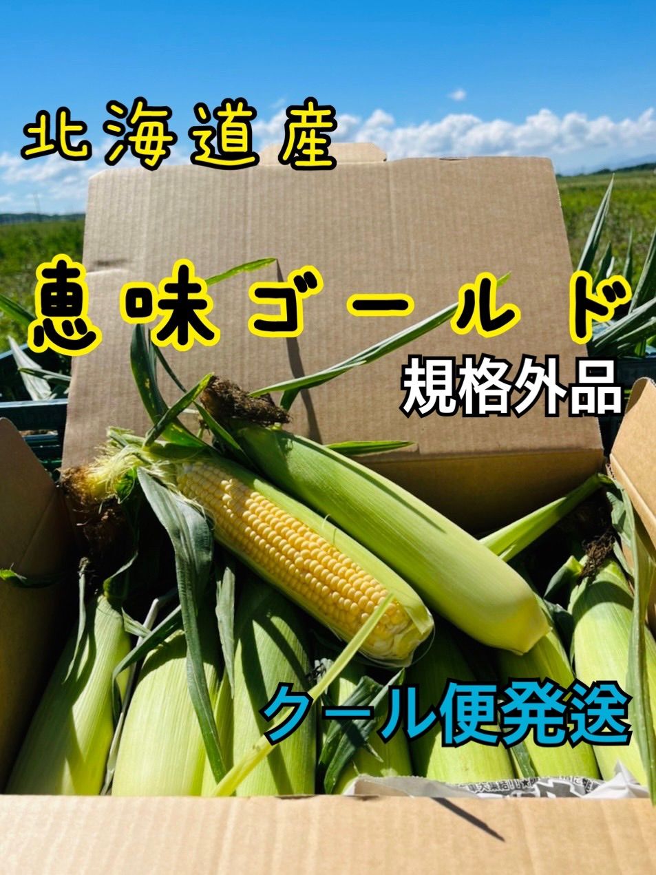 北海道産 とうもろこし 恵みゴールド 規格外品 総重量5キロ - イシカリ