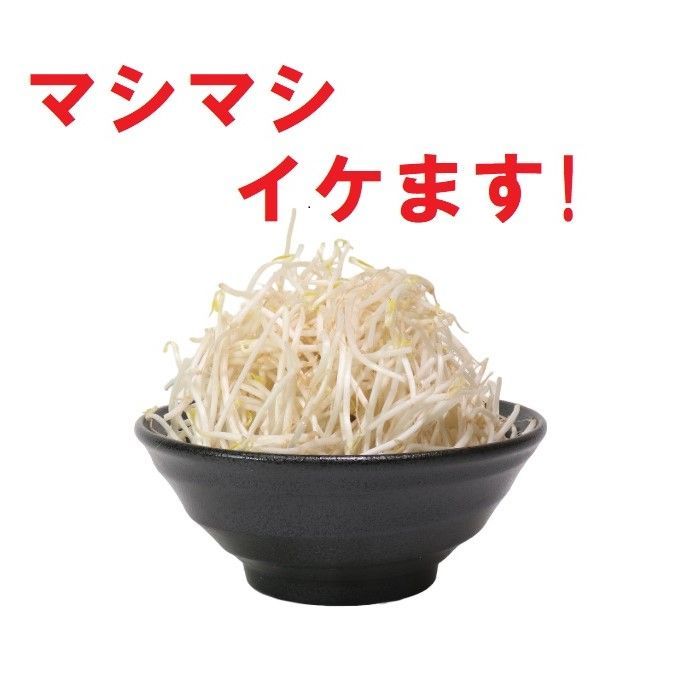 21cm丼 黒曜鳴門ラーメン丼 [20.5 x 8.6cm 1,300cc] | アウトレット 【sale-item-55】  業務用 ラーメン 中華 黒 どんぶり 大盛 二郎系 家系