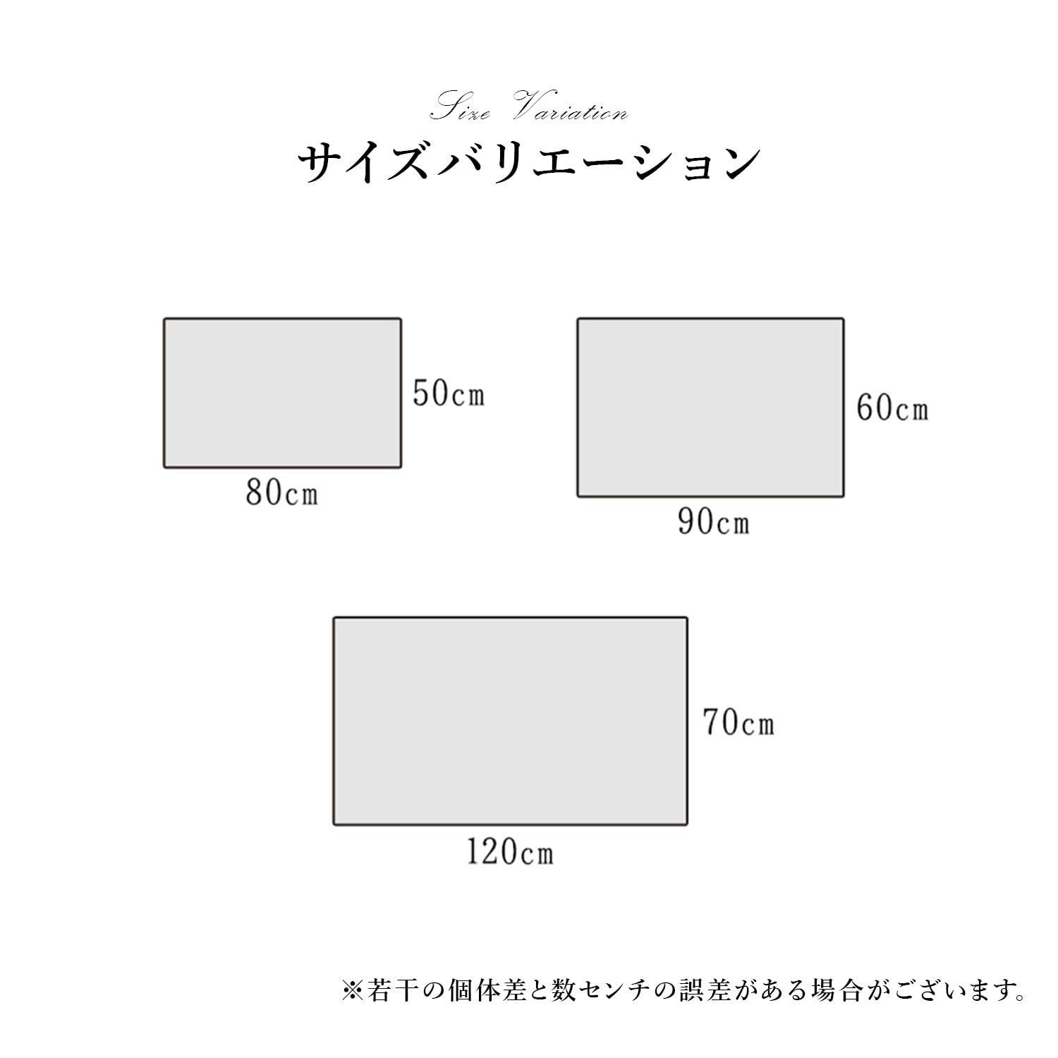 イケヒコ 玄関 選べる マット 長方形 単品 プラテリア 約50×80cm 厚み 約11mm トルコ製 へたりにくい 耐久性 弾力性 抗菌防臭 消臭 ギャベ柄 エレガント 洗濯不可 おしゃれ ふわふわ #1311240011701