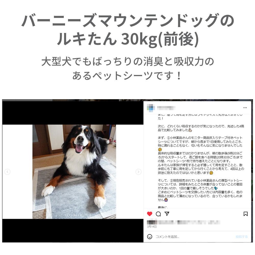 テープ付き ワイド