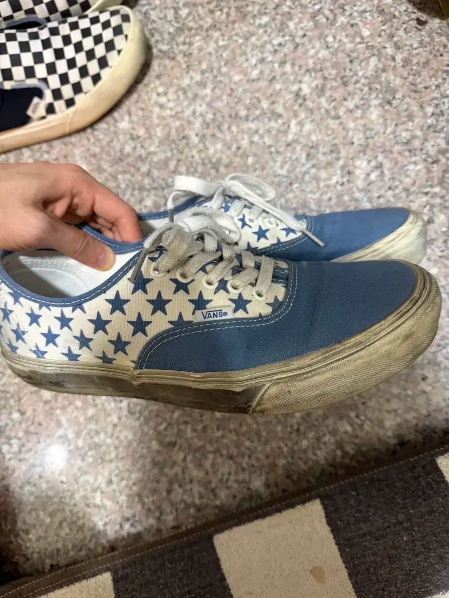 285 VANS x ビアンカ シャンドン アセンティック