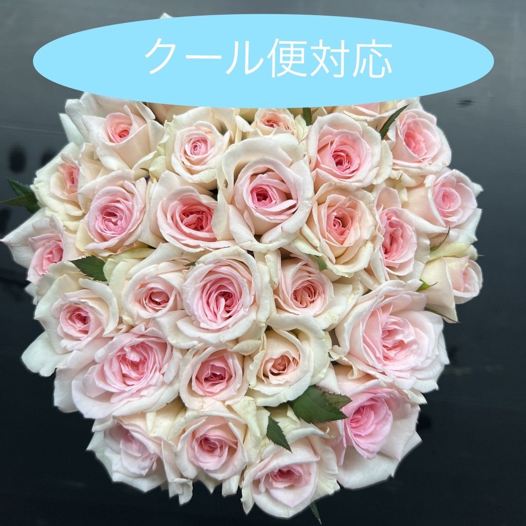 増量！飾る香水〜プリティカレン〜【生花・切り花】強香品種 30cm 40本