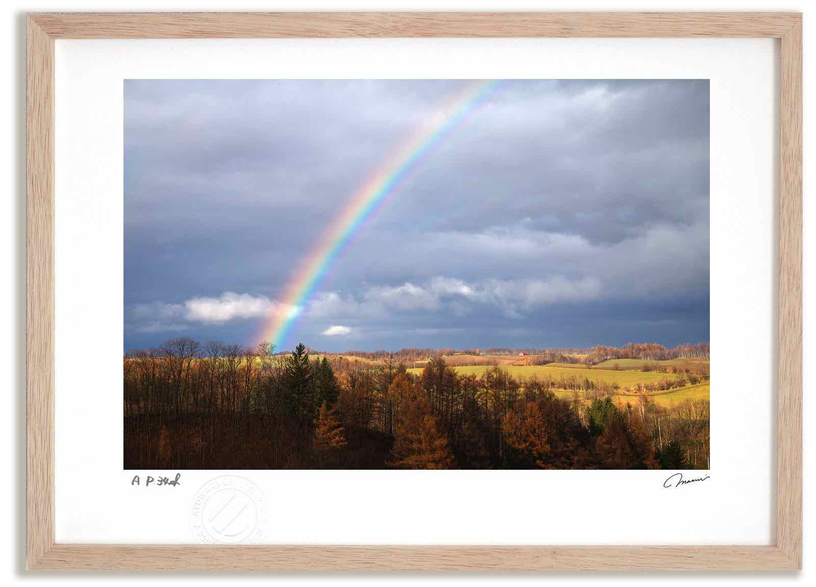 アートフォト 絵画 虹の丘 高橋真澄 インテリア 額入り 額装込 風景画 油絵 ポスター アート アートパネル リビング 玄関 プレゼント モダン アートフレーム 飾る Mサイズ おしゃれ 壁掛け 絵