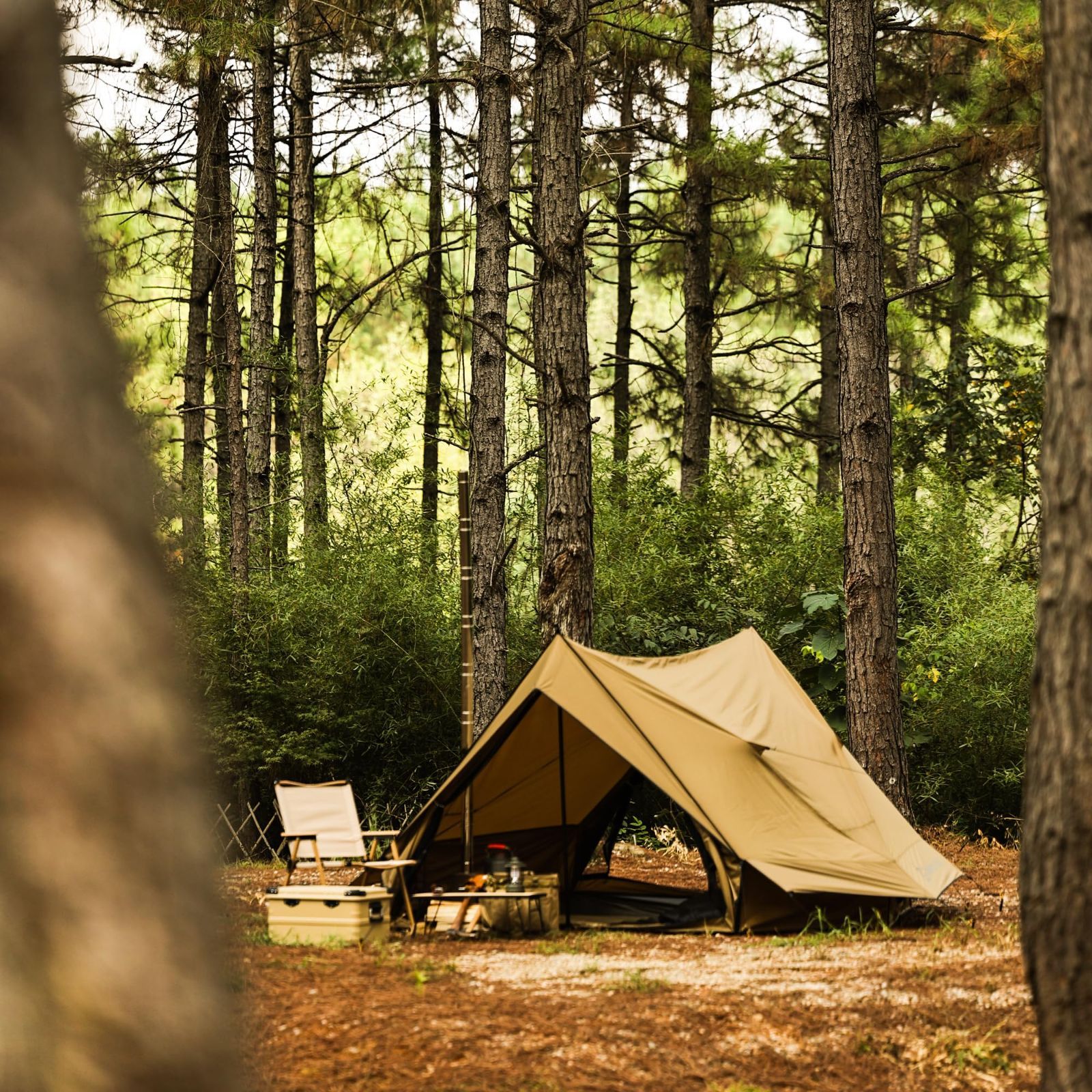 数量限定 Dandelion Shell ストーブジャック付きの屋外キャンプホット